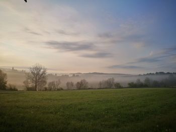 Scenic view of field against sky