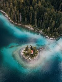 Aerial view of sea by forest