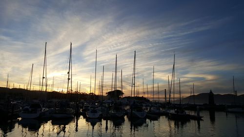 Sailboats moored in marina at sunset