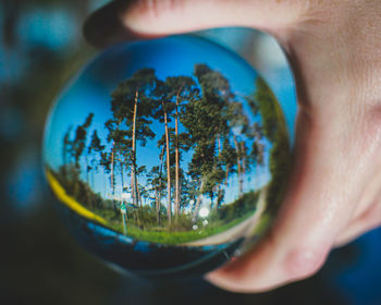 Close-up of person holding glass