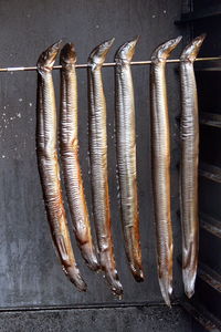 High angle view of fish in container