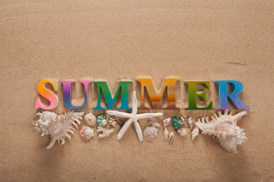 High angle view of summer text with seashells on sand at beach