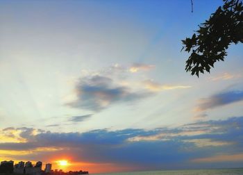 Low angle view of silhouette trees against sky during sunset