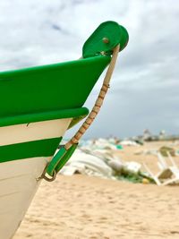 Close-up of green leaf on beach against sky