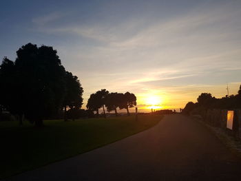 Silhouette of trees at sunset