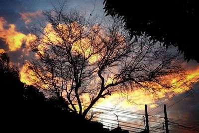 Close-up of silhouette tree against sky at sunset