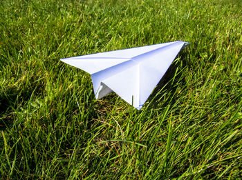High angle view of grassy field