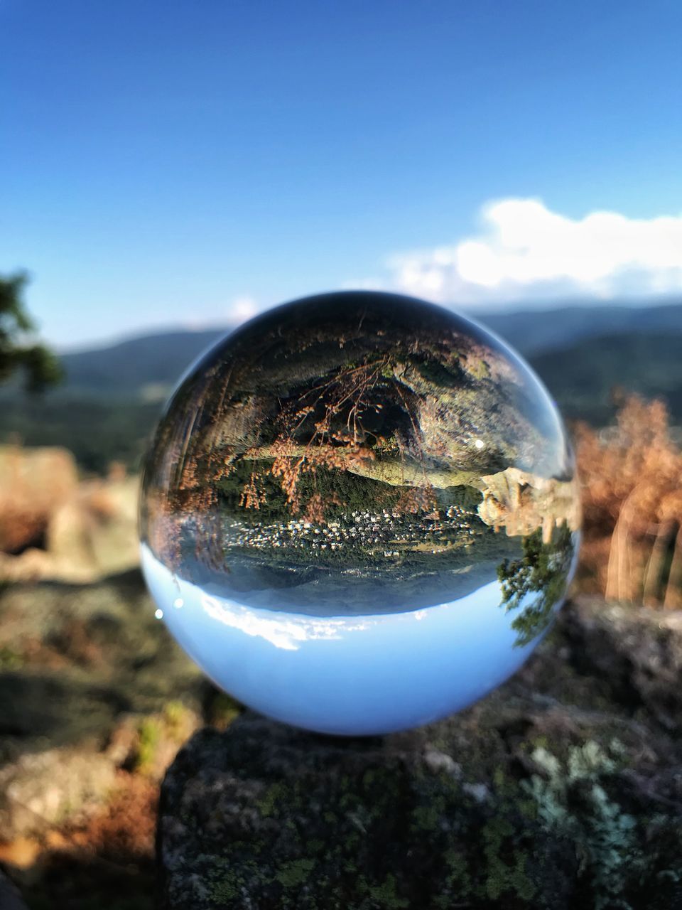 CLOSE-UP OF CRYSTAL BALL WITH REFLECTION OF TREES