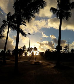 Silhouette palm trees against sky during sunset