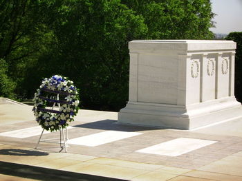 Flower pots on wall by trees
