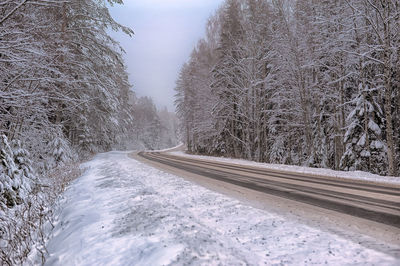 Snow covered road amidst trees during winter