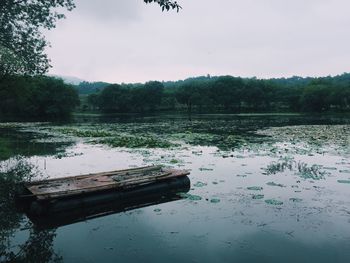 Reflection of trees in calm lake