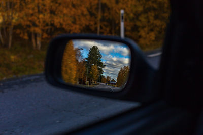 Reflection of trees in side-view mirror