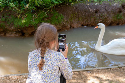 Rear view of swan swimming at canal