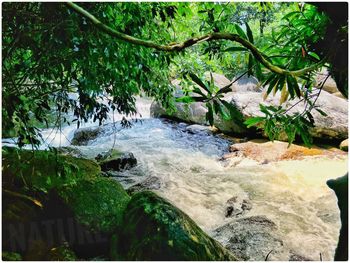 Scenic view of waterfall