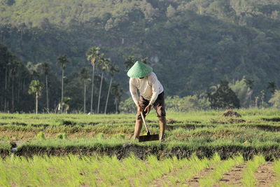 Farmer working on farm after planting