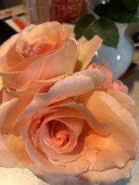 Close-up of rose bouquet