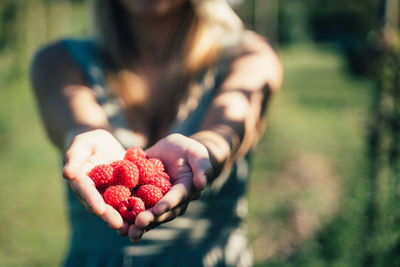 Close-up of woman holding raspberries