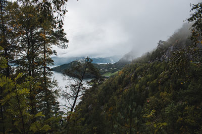 Scenic view of trees and mountains against sky