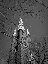 Low angle view of bare tree against the sky