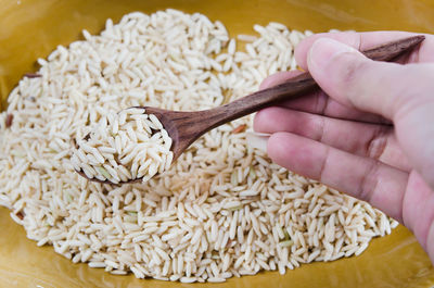 Close-up of hand holding rice