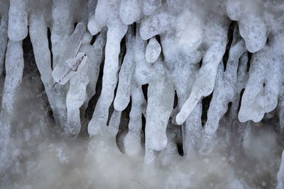 Close-up of ice