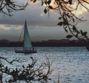 Silhouette sailboat sailing on sea against sky during sunset