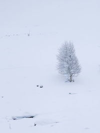 Scenic view of snow covered field against clear sky
