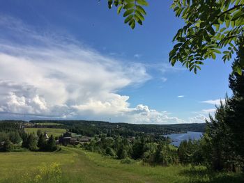 Scenic view of field against sky