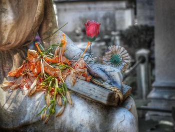 Close-up of lizard on flower