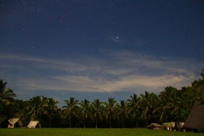 Scenic view of palm trees on field against sky