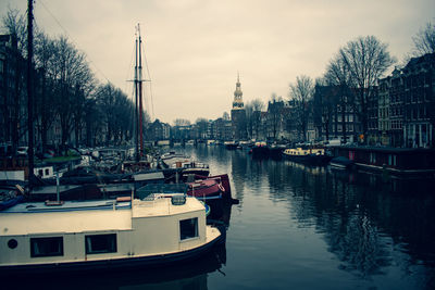 Boats in marina