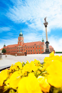 Close-up of yellow flowering plant against building