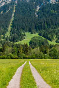 Road passing through rural landscape