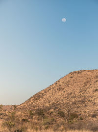 Scenic view of landscape against clear blue sky