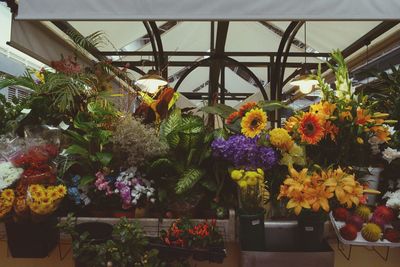 Full frame shot of flowers