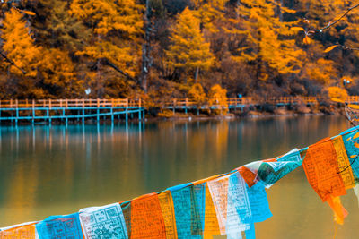 Scenic view of lake in forest