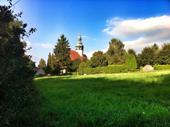 Houses on grassy field