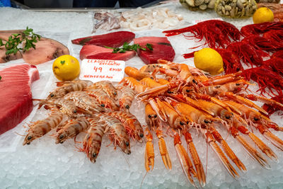 High angle view of seafood on table