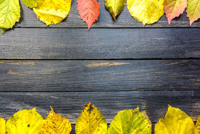 High angle view of yellow leaves on wooden plank