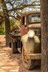 Old rusty car on tree trunk