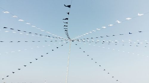 Low angle view of birds flying against sky