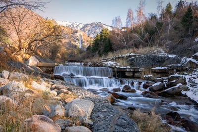 Scenic view of waterfall in forest