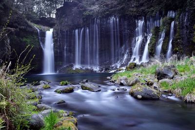 Scenic view of waterfall in forest