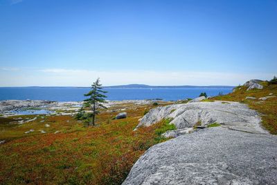 Scenic view of sea against clear blue sky