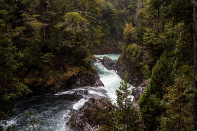 The alerces waterfall in bariloche, argentinian patagonia 