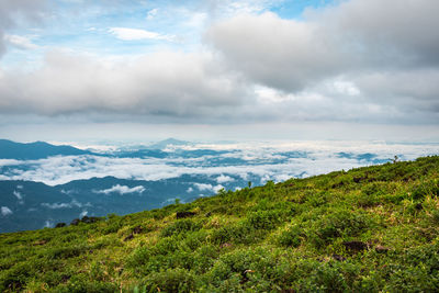 Scenic view of landscape against sky