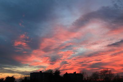 Low angle view of silhouette trees against sky during sunset