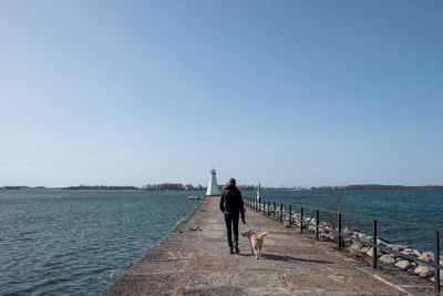 Rear view of woman walking with dog on pier in sea against clear blue sky