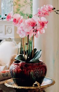 Close-up of flower vase on table at home